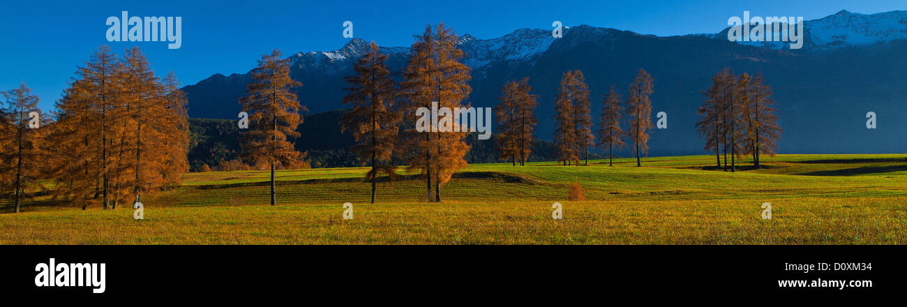 Austria, Europe, Tyrol, Tirol, Mieming, chain, plateau, Mieming, meadows, larches, autumn, mountains, Stubai Alps, panorama, sno Stock Photo
