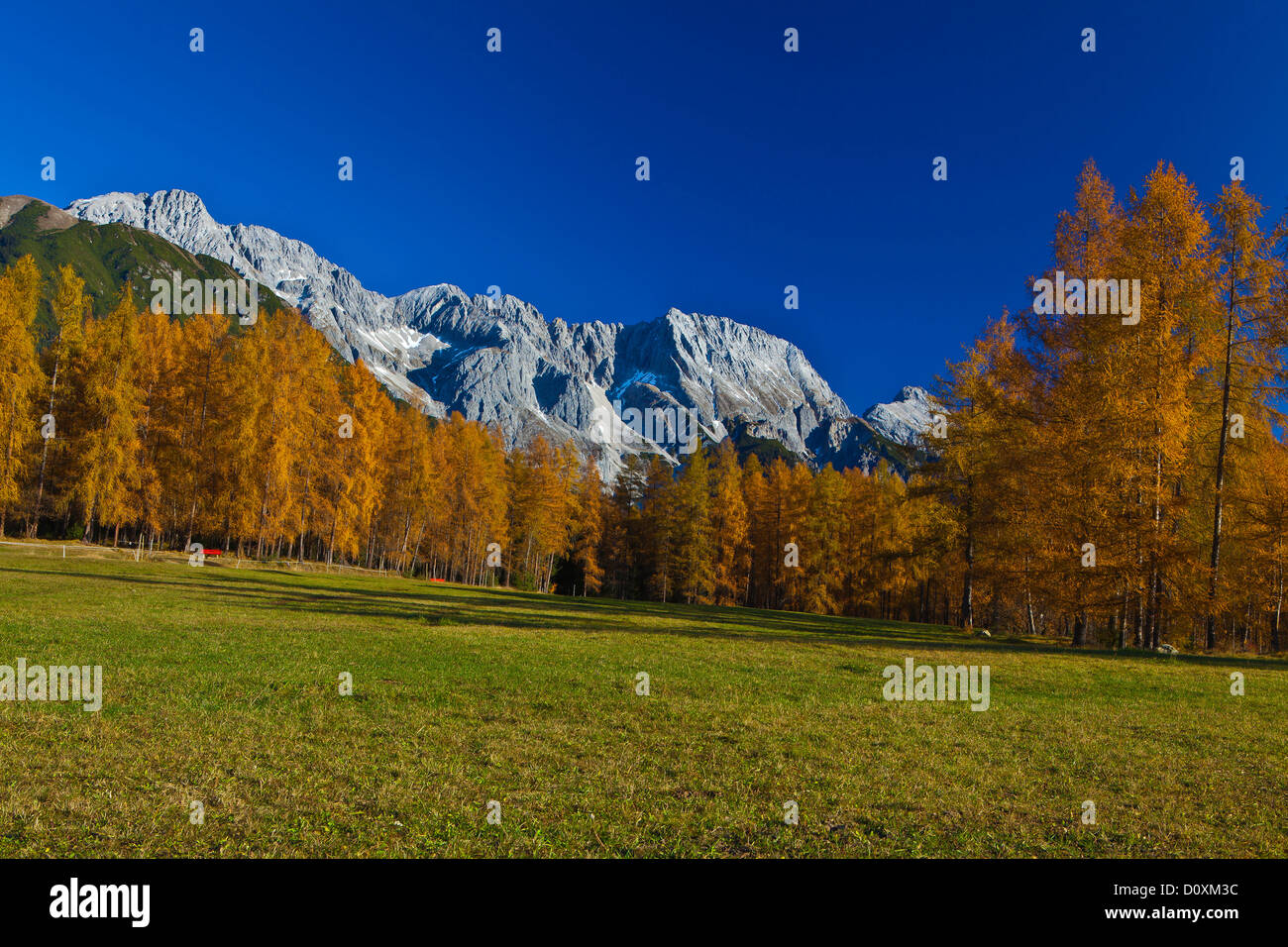 Austria, Europe, Tyrol, Tirol, Mieming, chain, plateau, Obsteig, nature, meadows, larches, mountains, Hochplattig, Mieming, chai Stock Photo