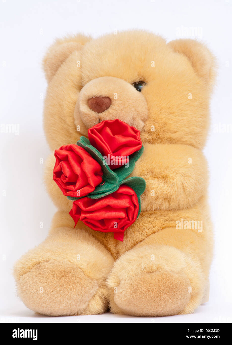 Cuddly bear hi-res stock photography and images - Alamy