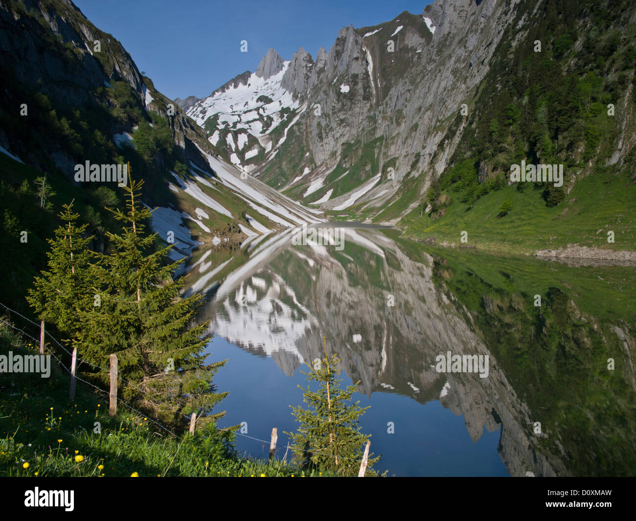 Alps, Alpstein, tree, trees, conifers, precipitous, canton, IR, Appenzell, Innerrhoden, rock, cliff, Fälensee, mountain chain, A Stock Photo