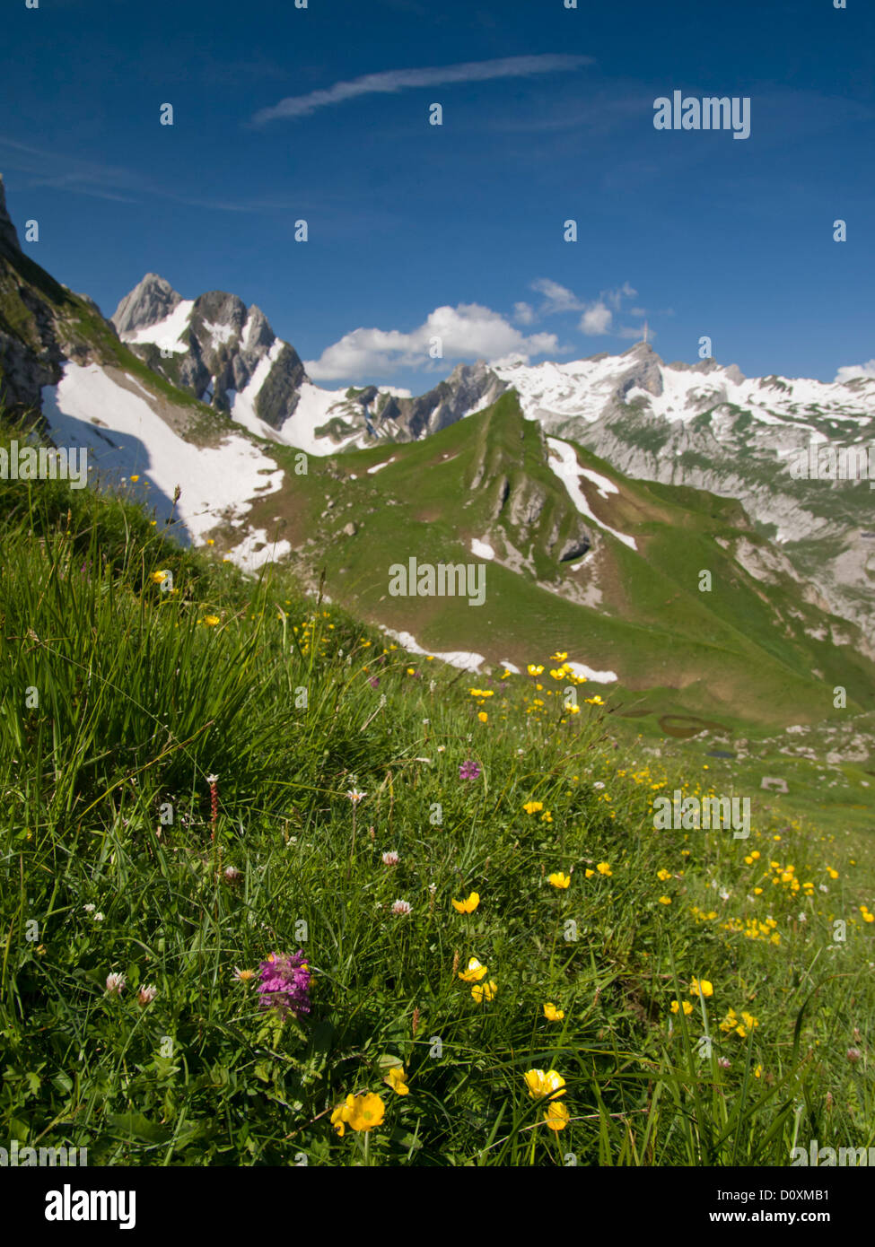 Alps, Alpstein, Appenzell, Innerrhoden, Alps, alpine, mountain, mountains, Europe, mountains, Switzerland, Altmann, Säntis, glob Stock Photo