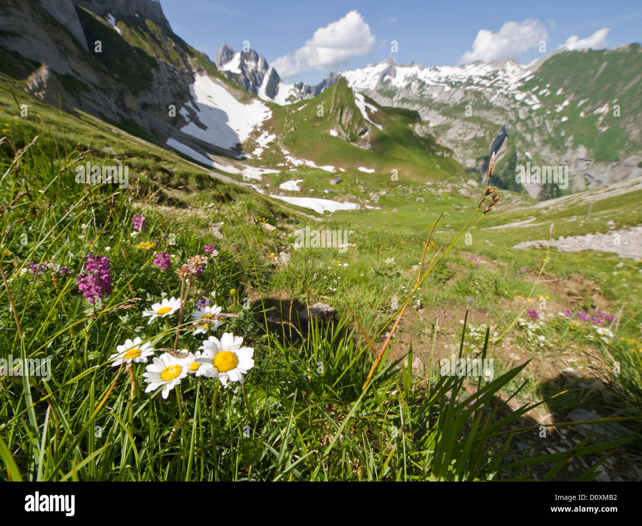 Alps, Alpstein, Appenzell, Innerrhoden, Alps, alpine, mountain, mountains, Europe, mountains, Switzerland, Altmann, Säntis, glob Stock Photo