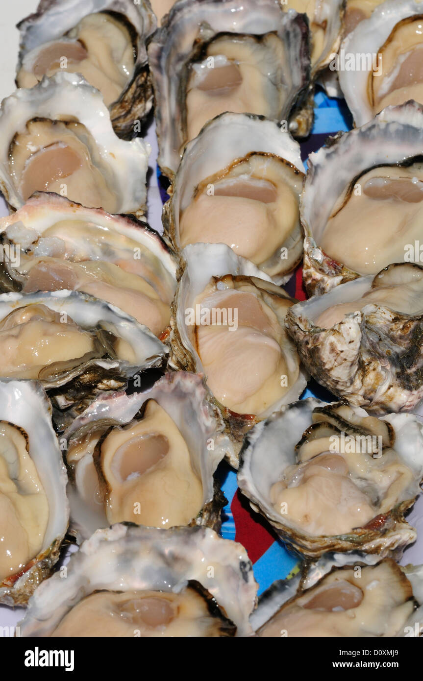 Food, oysters, seafood, cuisine, fresh, mollusc, shellfish, Stock Photo