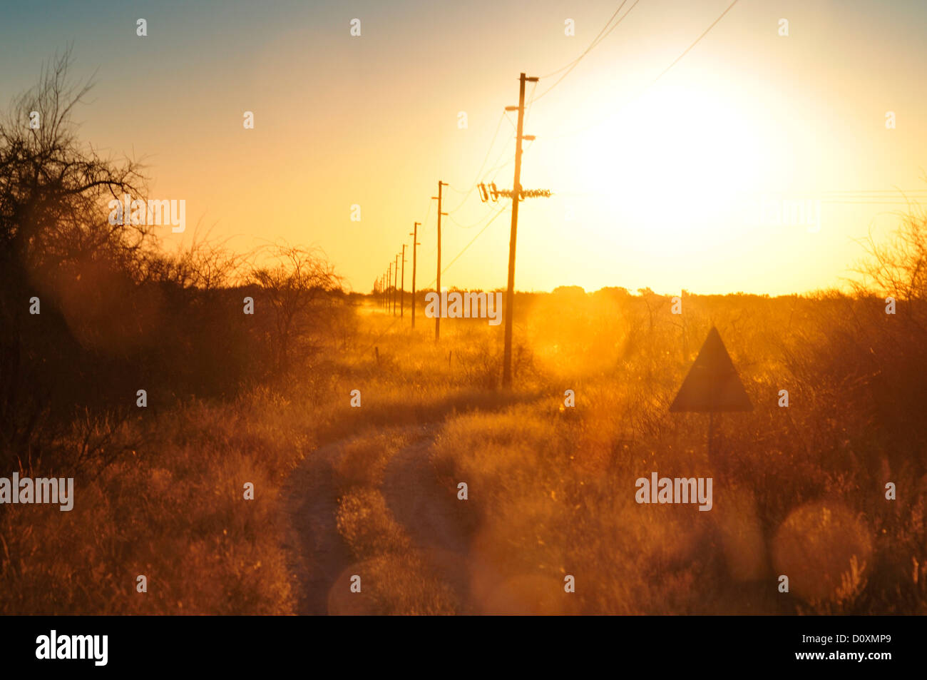 Africa, Namibia, Warm, clan, dusk, electrical, wires, field, high voltage, horizontal Stock Photo