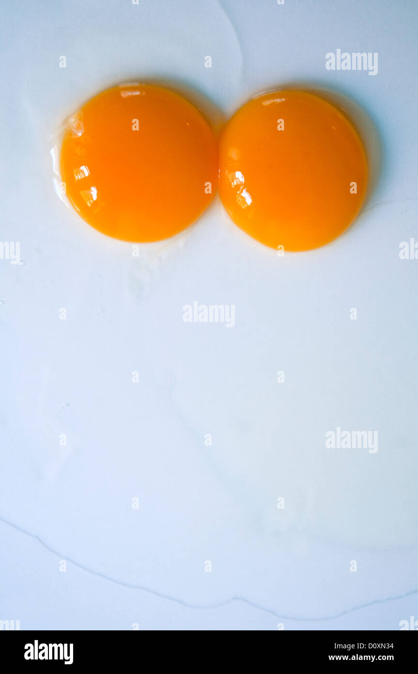 Two egg yolks. Stock Photo