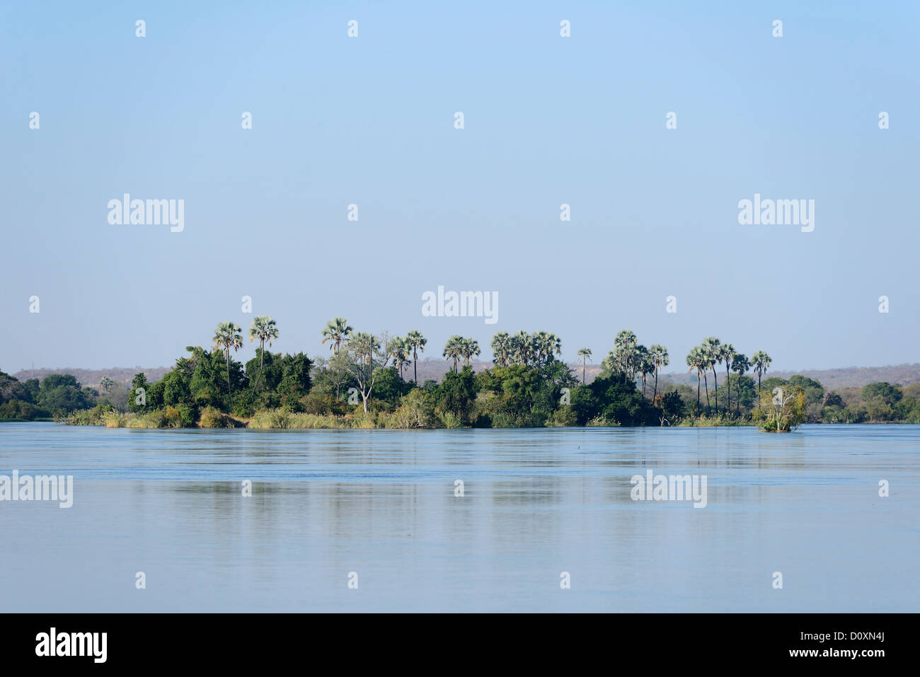 Africa, Southern, Zimbabwe, Zambezi, river, island, broad, palm, tree, expanse Stock Photo