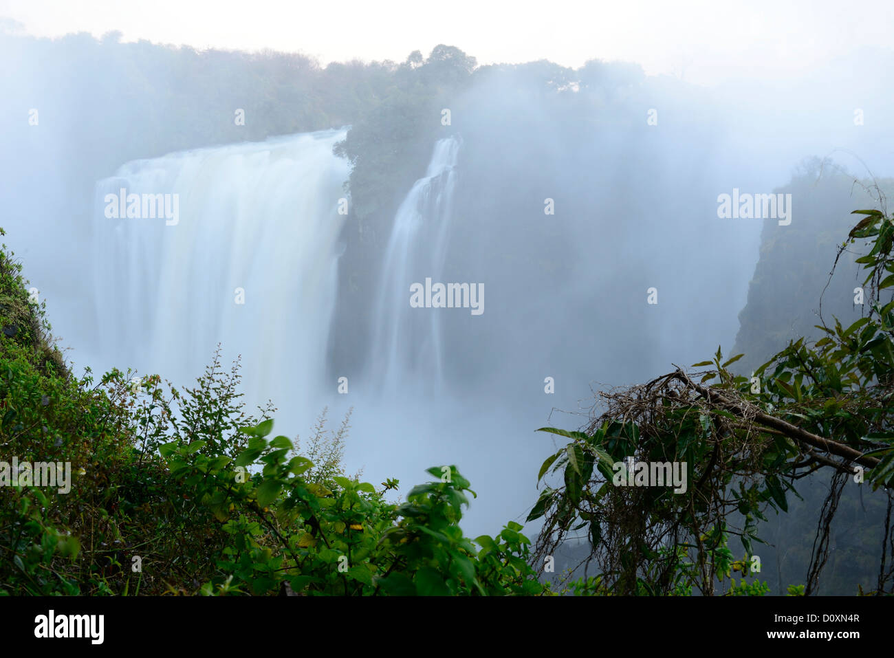 Africa, Zimbabwe, Zambezi, River, Southern Africa, Victoria Falls, waterfall, water, canyon, gorge, vegetation Stock Photo