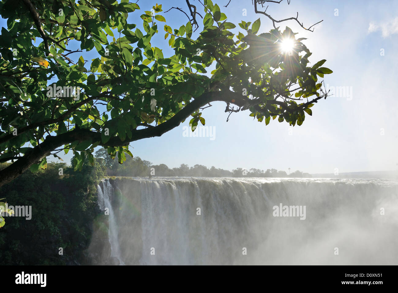 Africa, Zimbabwe, Zambezi, River, Southern Africa, Victoria Falls, waterfall, sun star, branch, water Stock Photo