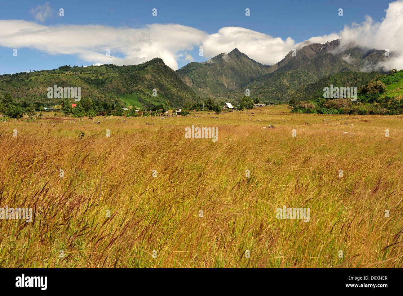 Landscape, Volcan Baru, Panama, Central America, field Stock Photo