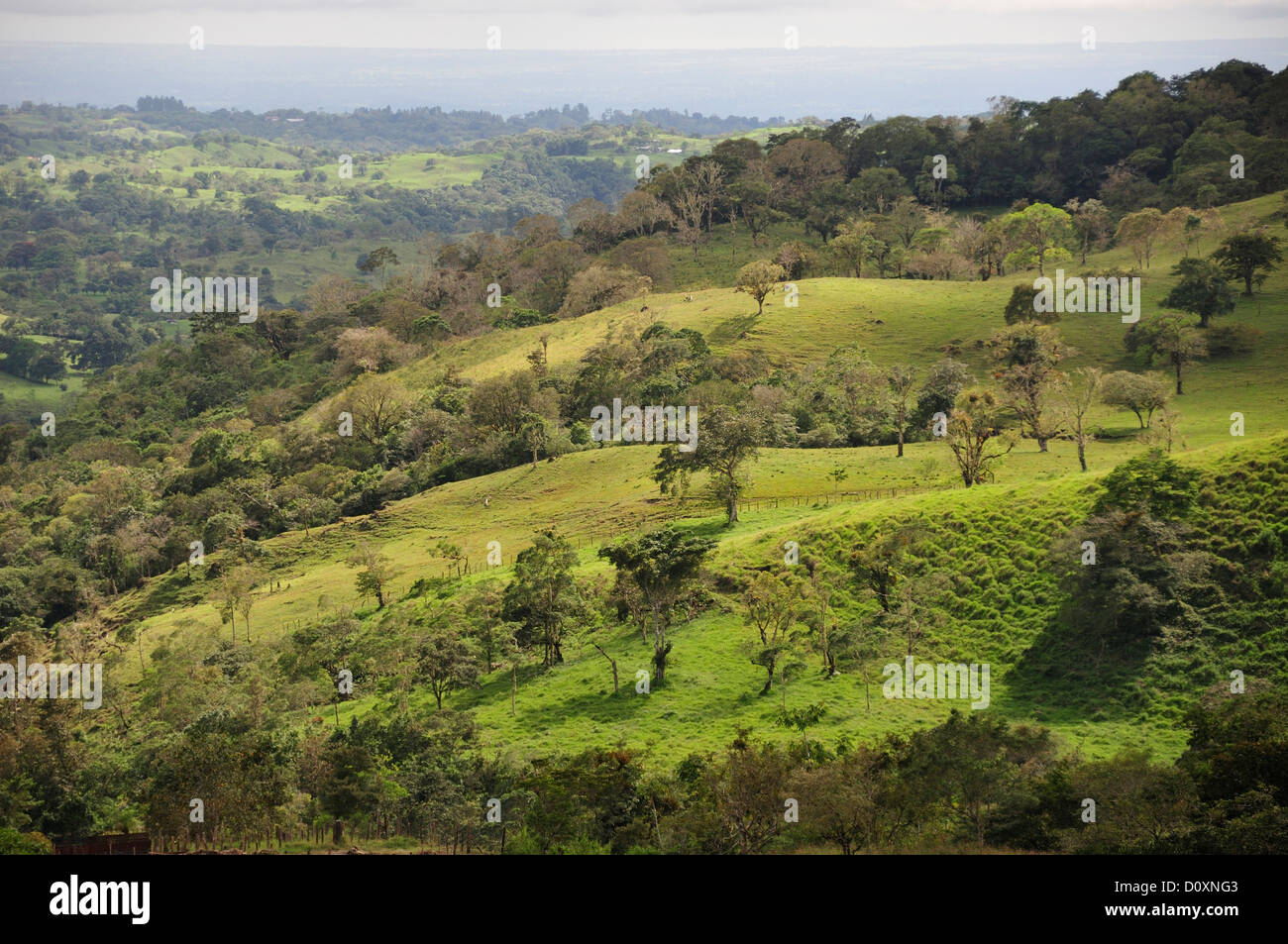 Pacific ocean, green, pasture, Landscape, Volcan, Panama, Central America, Stock Photo