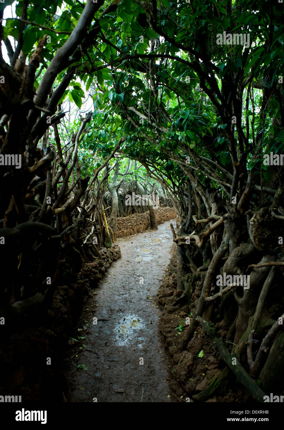 Alley In Konso Village, Omo Valley, Ethiopia Stock Photo