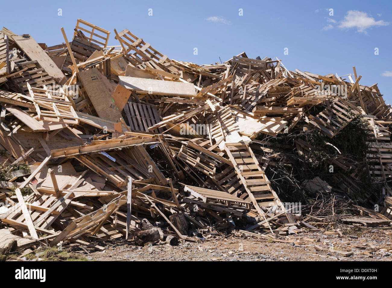 Pile of discarded wood at waste management site Stock Photo