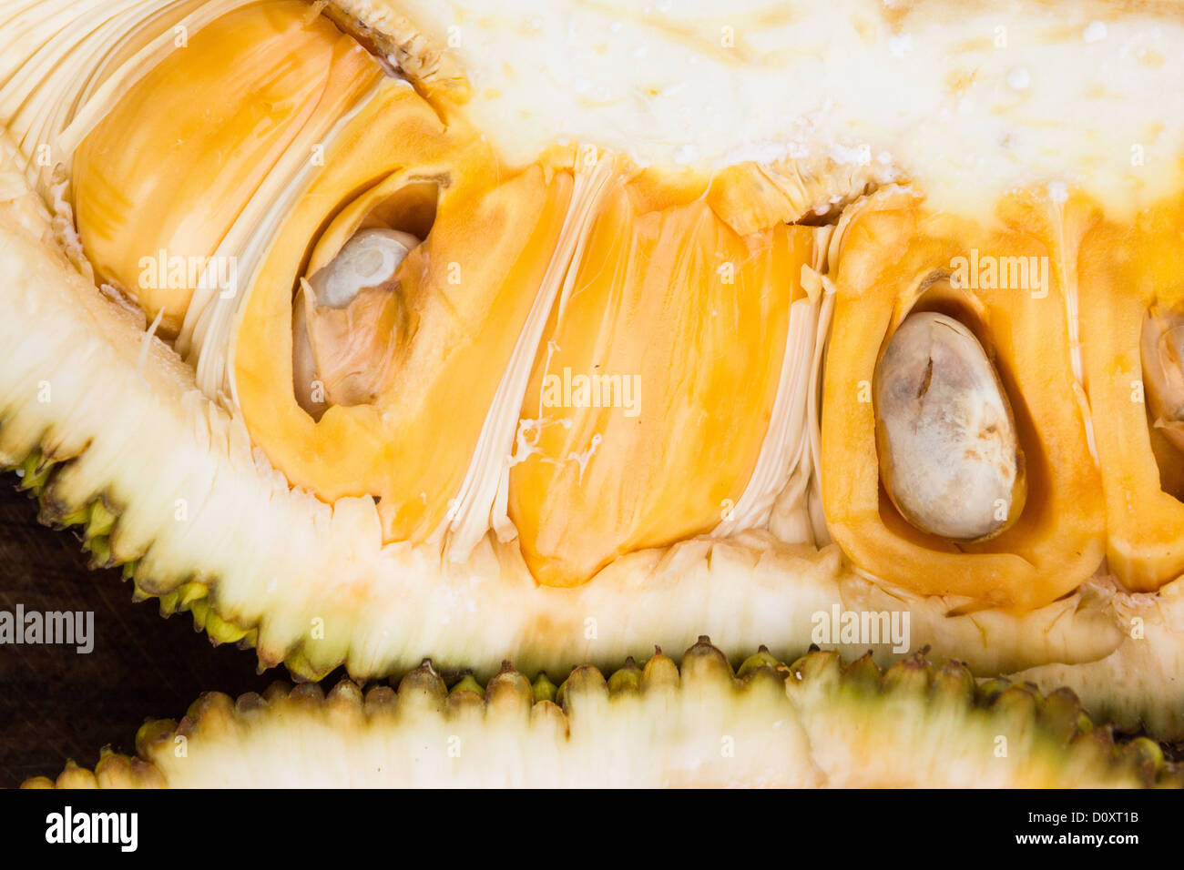 durian Stock Photo
