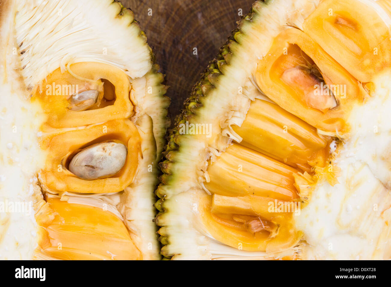durian Stock Photo