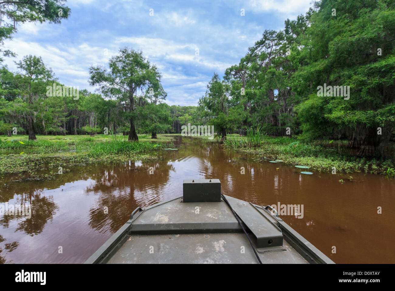 Caddo lake, Texas, USA Stock Photo