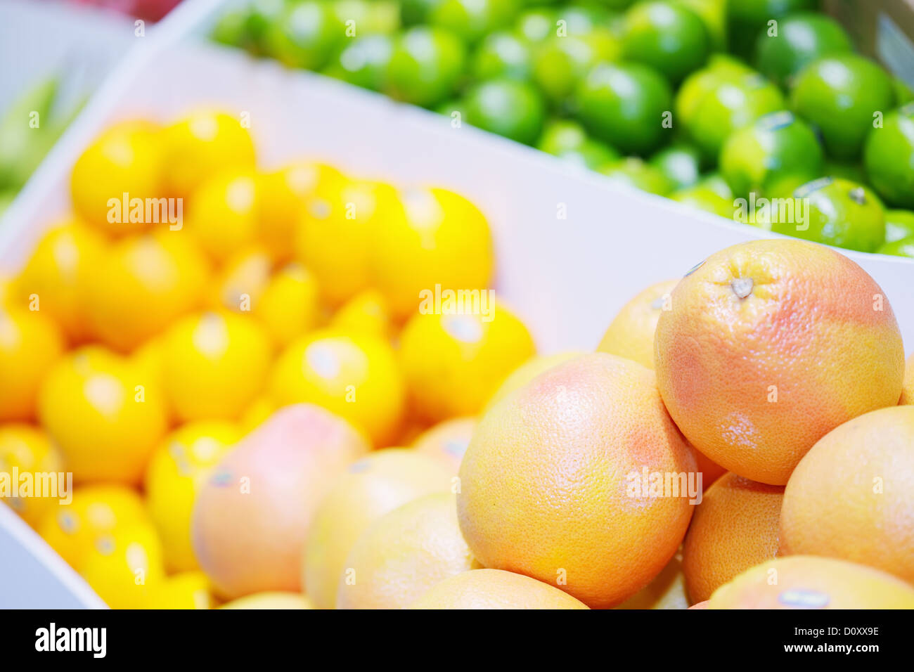 Citrus fruits in shop Stock Photo - Alamy