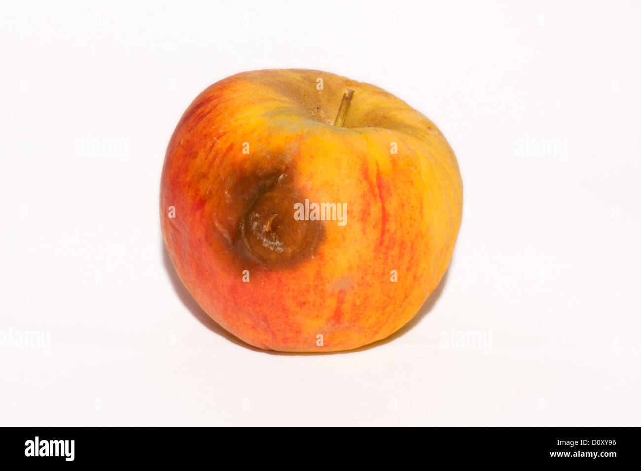 Rotten apple, isolated on white Stock Photo