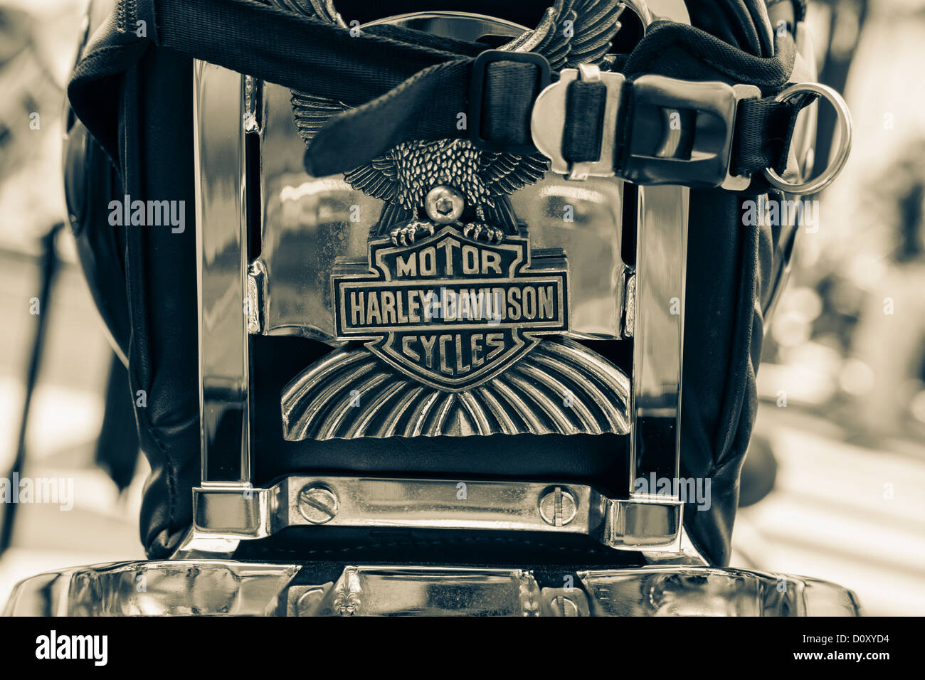 Helmut on seat of Harley Davidson motorbike Stock Photo