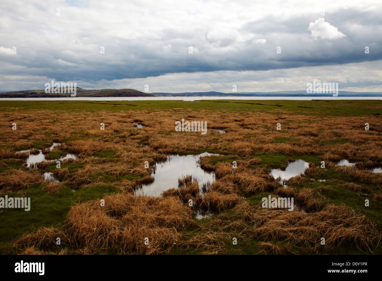 Grange over Sands estuary and marshes, Cumbria Stock Photo