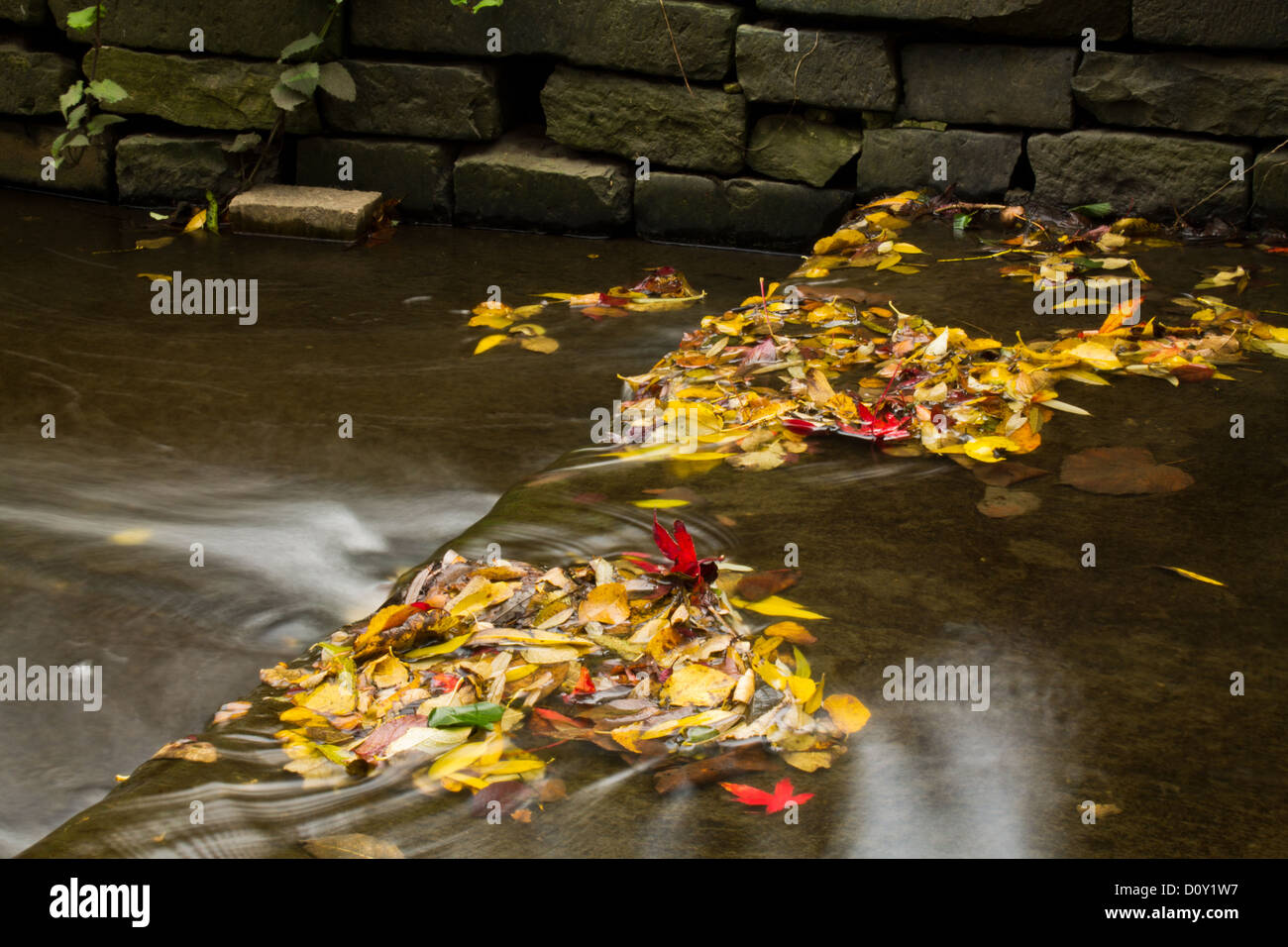 Autumn leaves travel along a small stream cascade. Image taken using a longer exposure, in order to smooth out the water surface Stock Photo