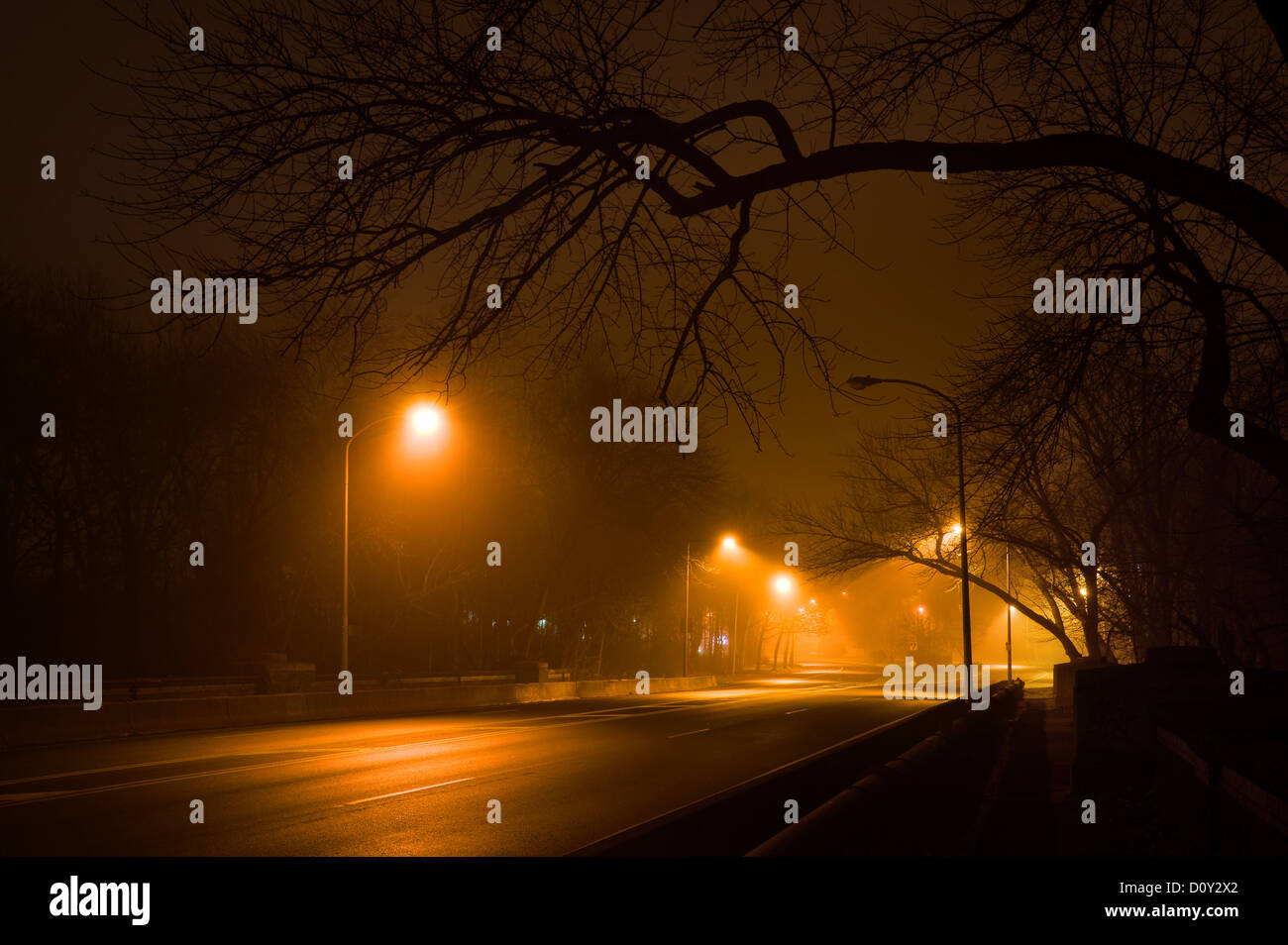 Foggy Misty Street Lights At Night Stock Photo