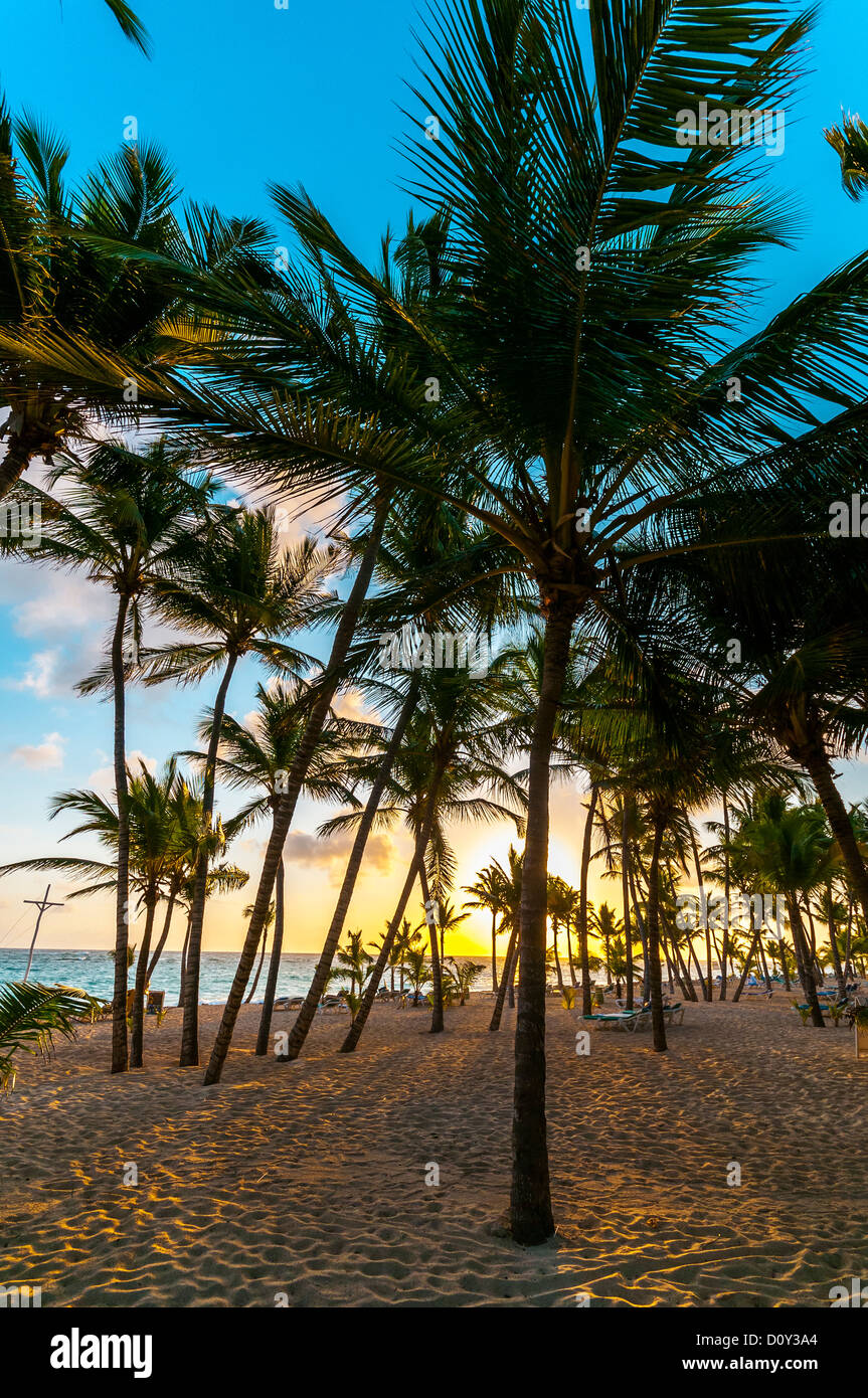 beach Punta Cana Dominican Republic caribbean Stock Photo - Alamy
