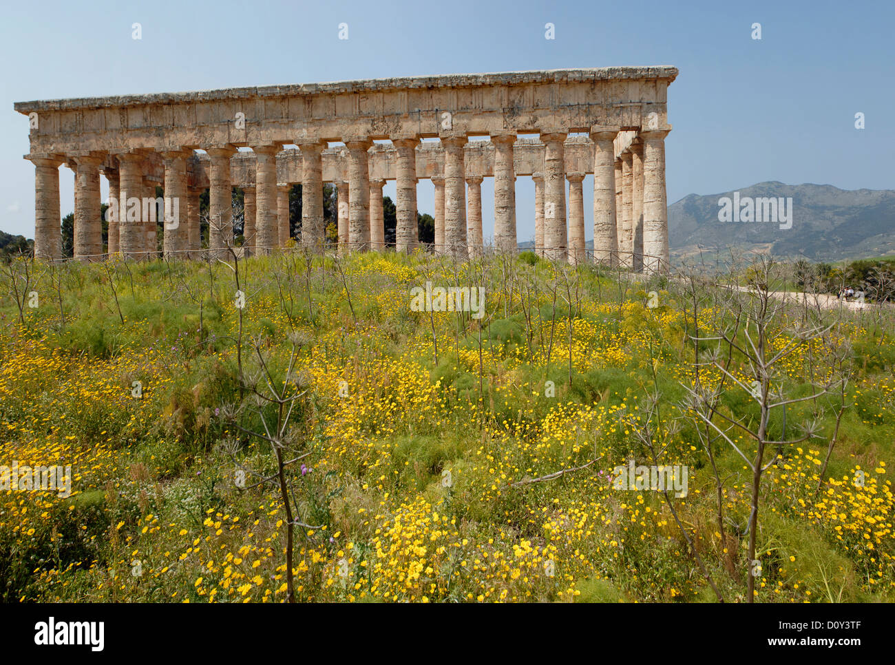 Ancient Greek Doric Temple Segesta archaeological site Sicily Italy Stock Photo