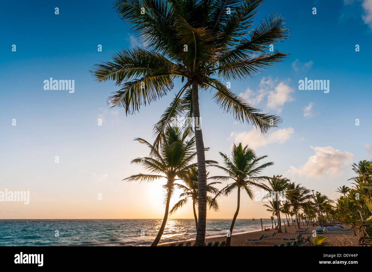 beach Punta Cana Dominican Republic caribbean Stock Photo - Alamy