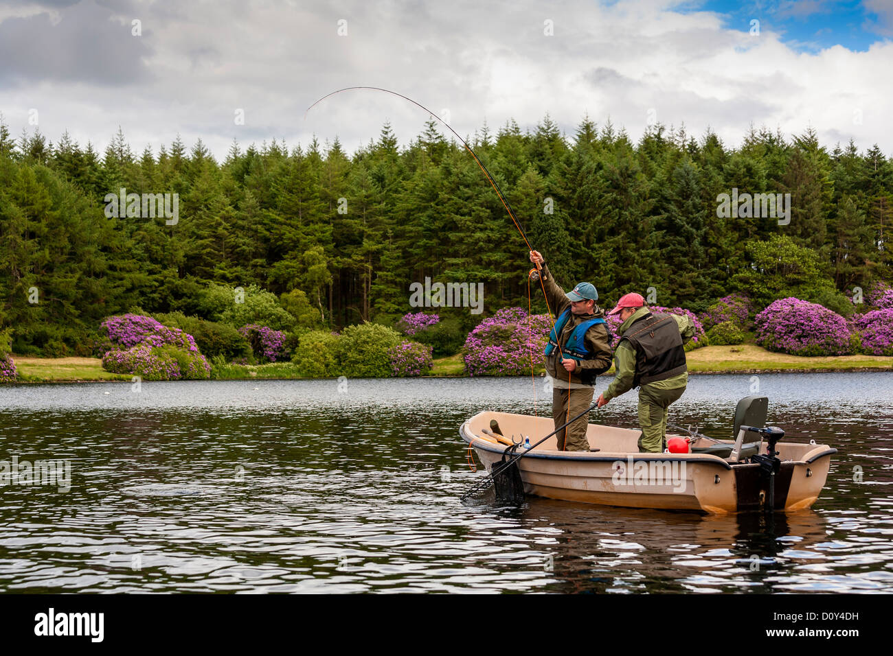Fly Fishing Kennick Reservoir Devon. Angler plays fish Stock Photo Alamy