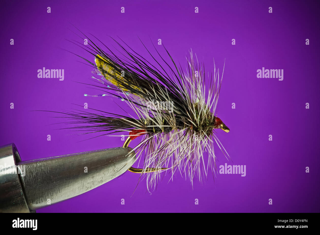 Winged Stimulator fishing fly. Dry Fly for Trout or Salmon Stock Photo -  Alamy