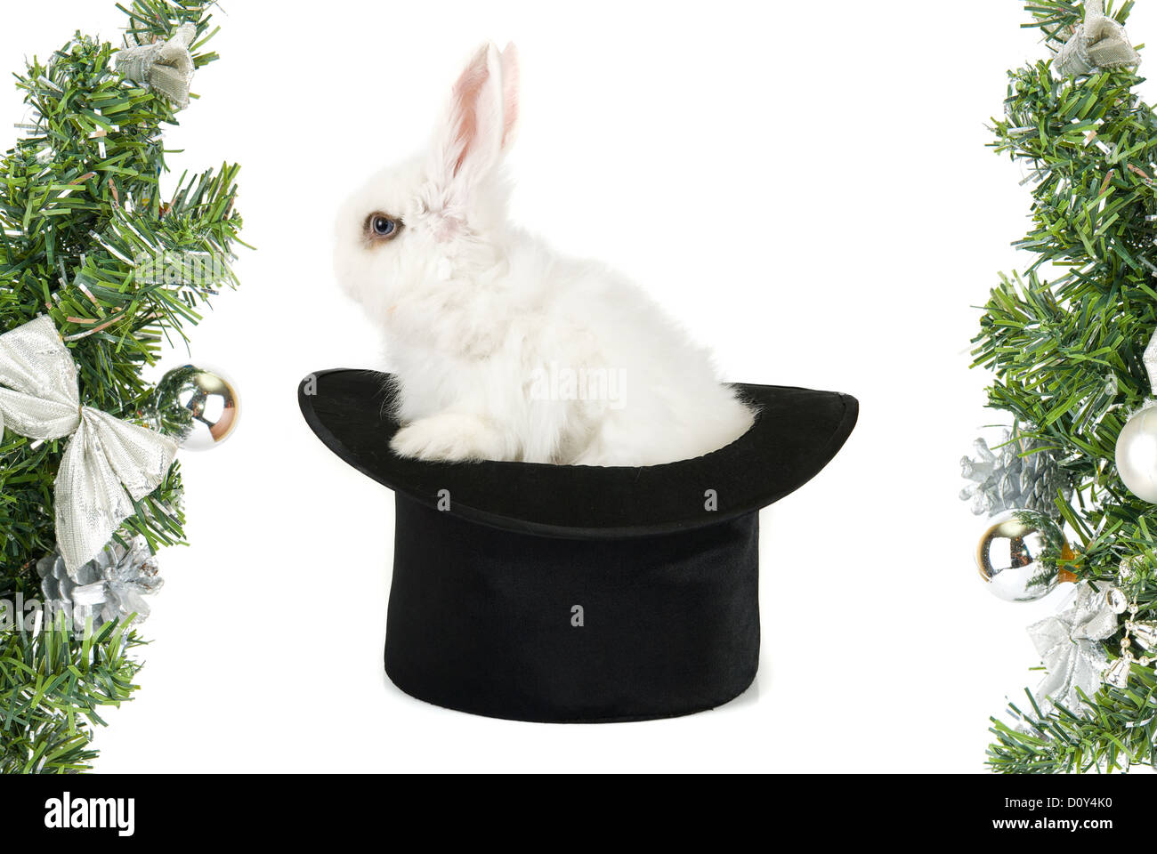 rabbit symbol of 2011 Stock Photo Alamy