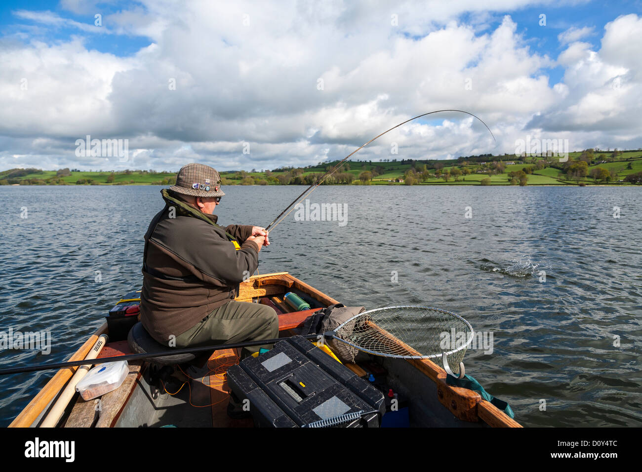 Veteran angler plays Trout on fly Rod. Stock Photo