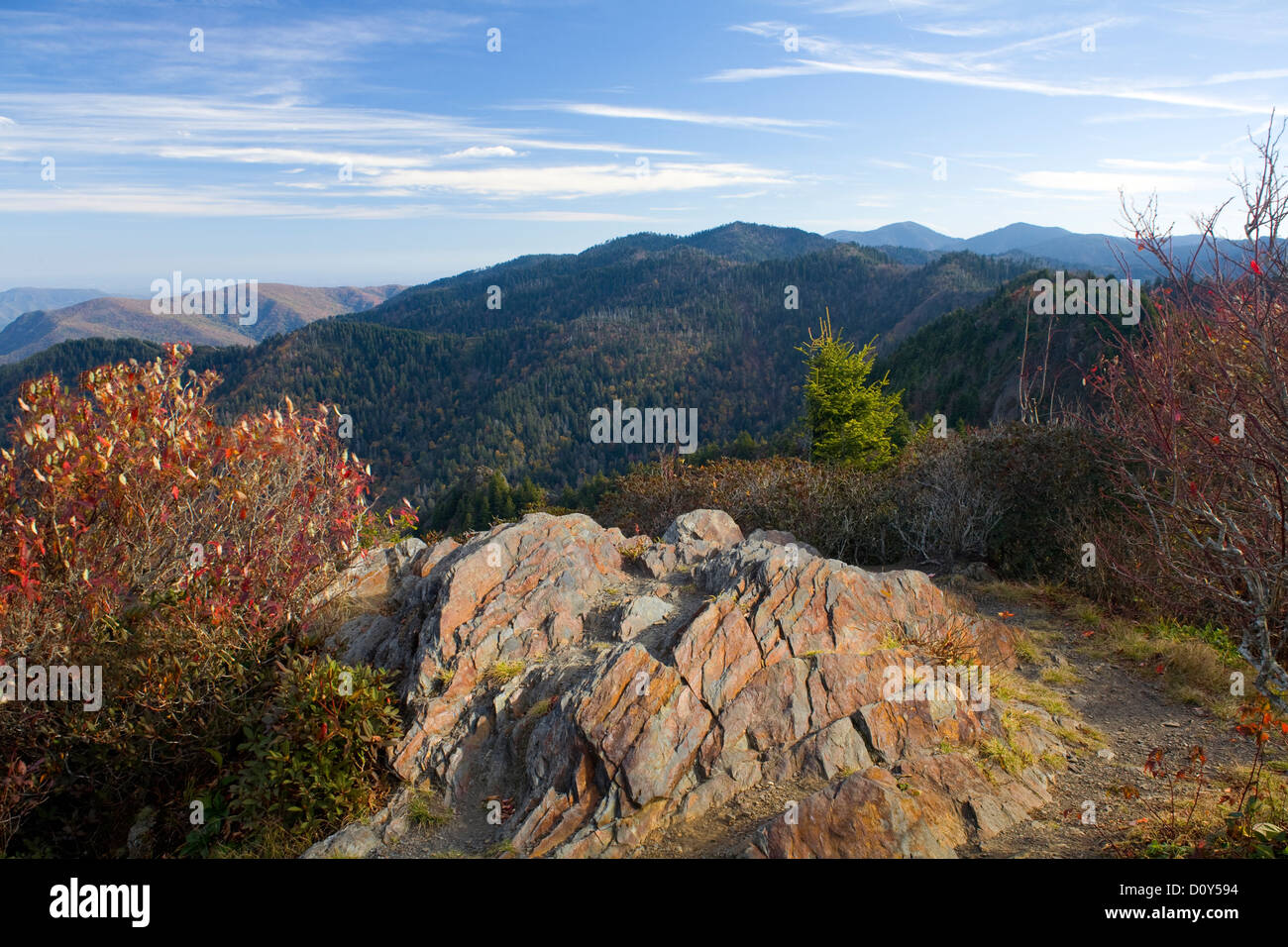 Charlies bunion hi-res stock photography and images - Alamy