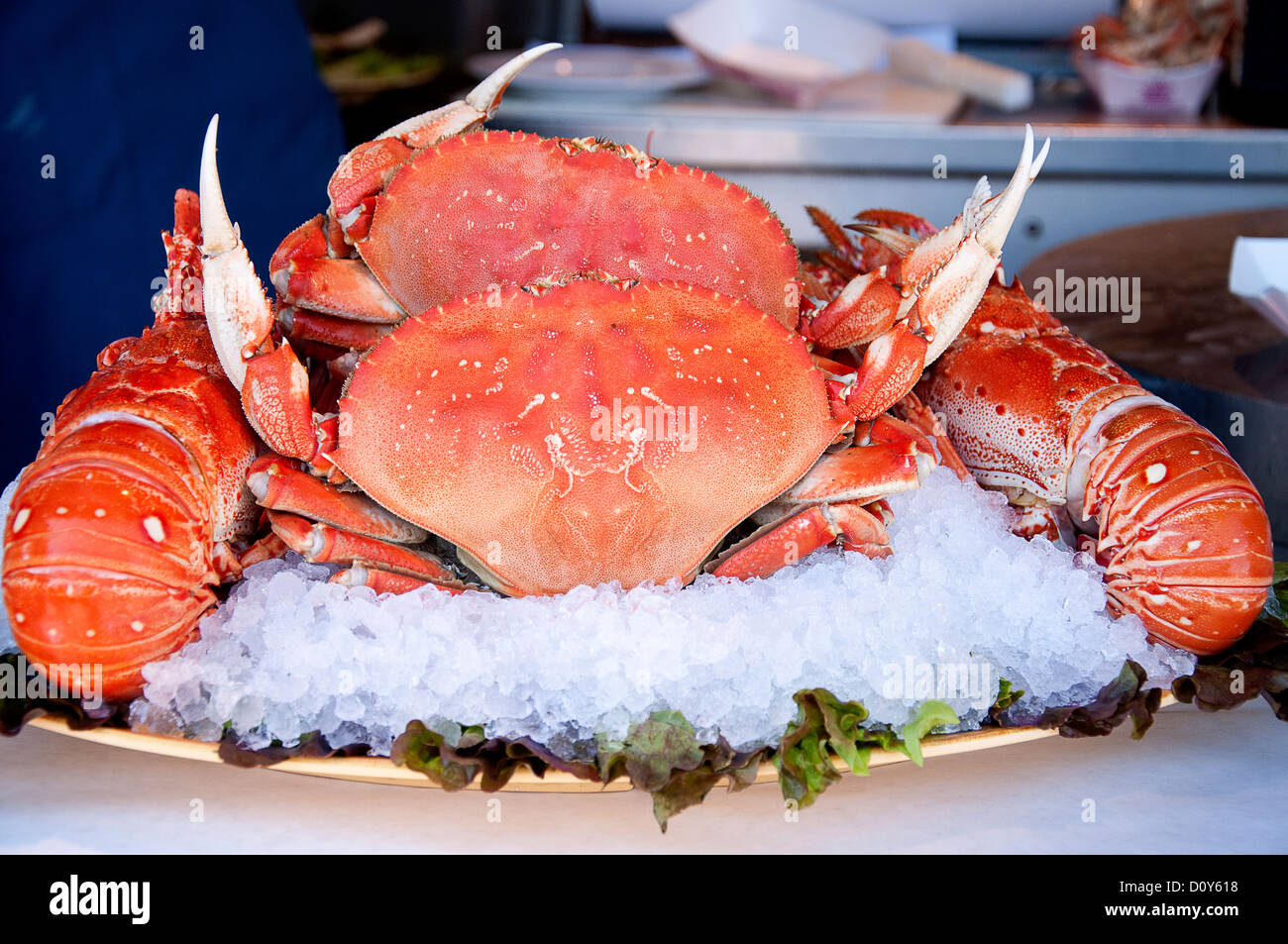 Crabs and Lobsters on Fishermans Wharf in San Francisco California USA