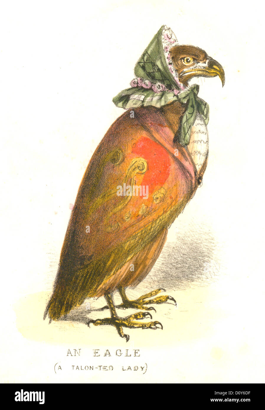 Victorian bird hi-res stock photography and images - Alamy