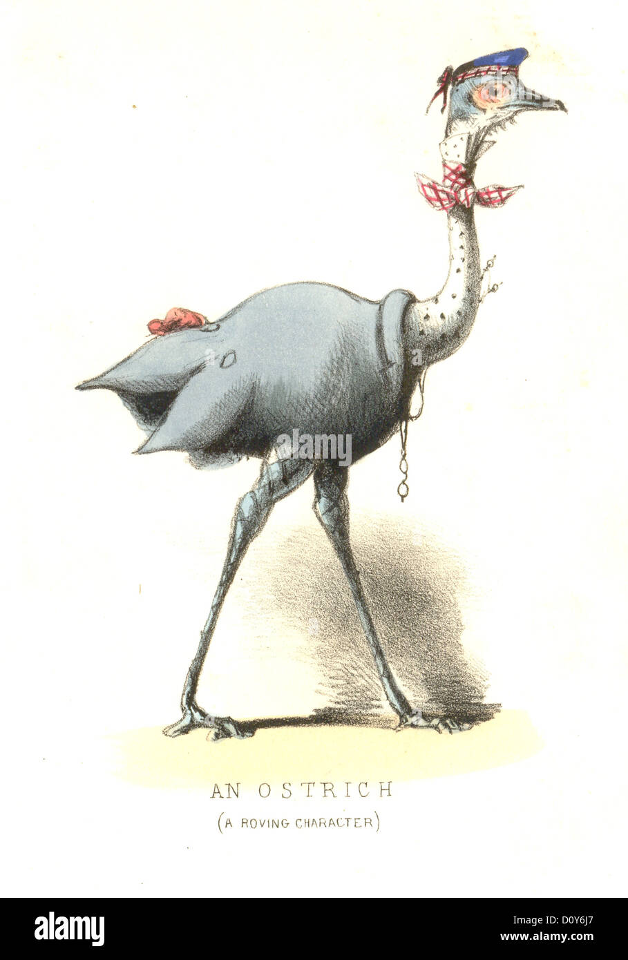 Anthropomorphic Victorian bird titled An Ostrich (A Roving