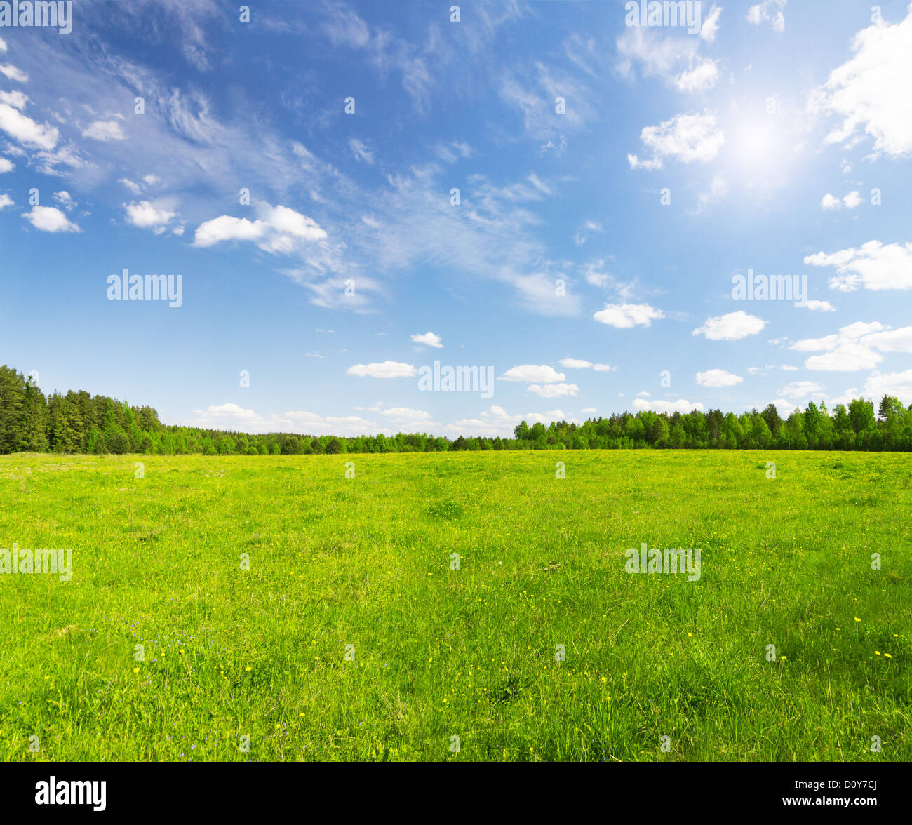 green field and blue cloudy sky Stock Photo - Alamy