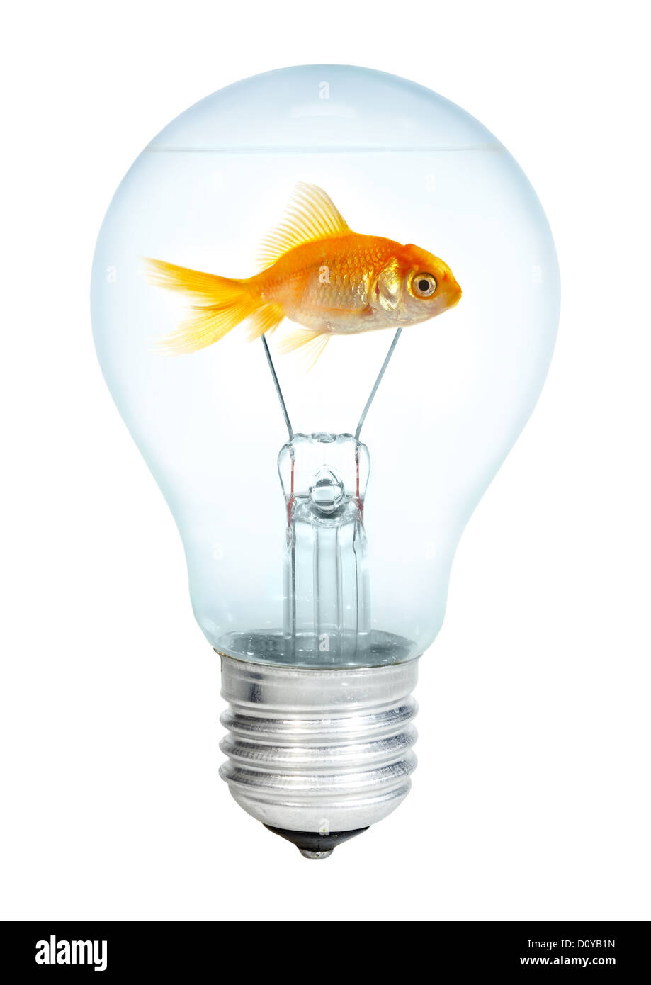 Gold small fish in light bulb Stock Photo