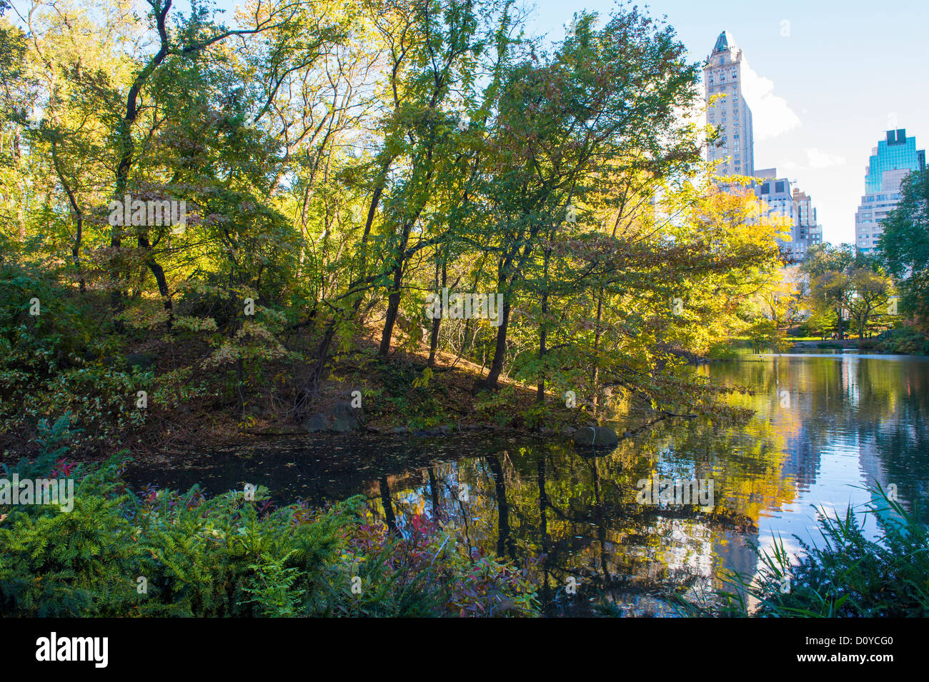 The Central park in New York at autumn Stock Photo - Alamy