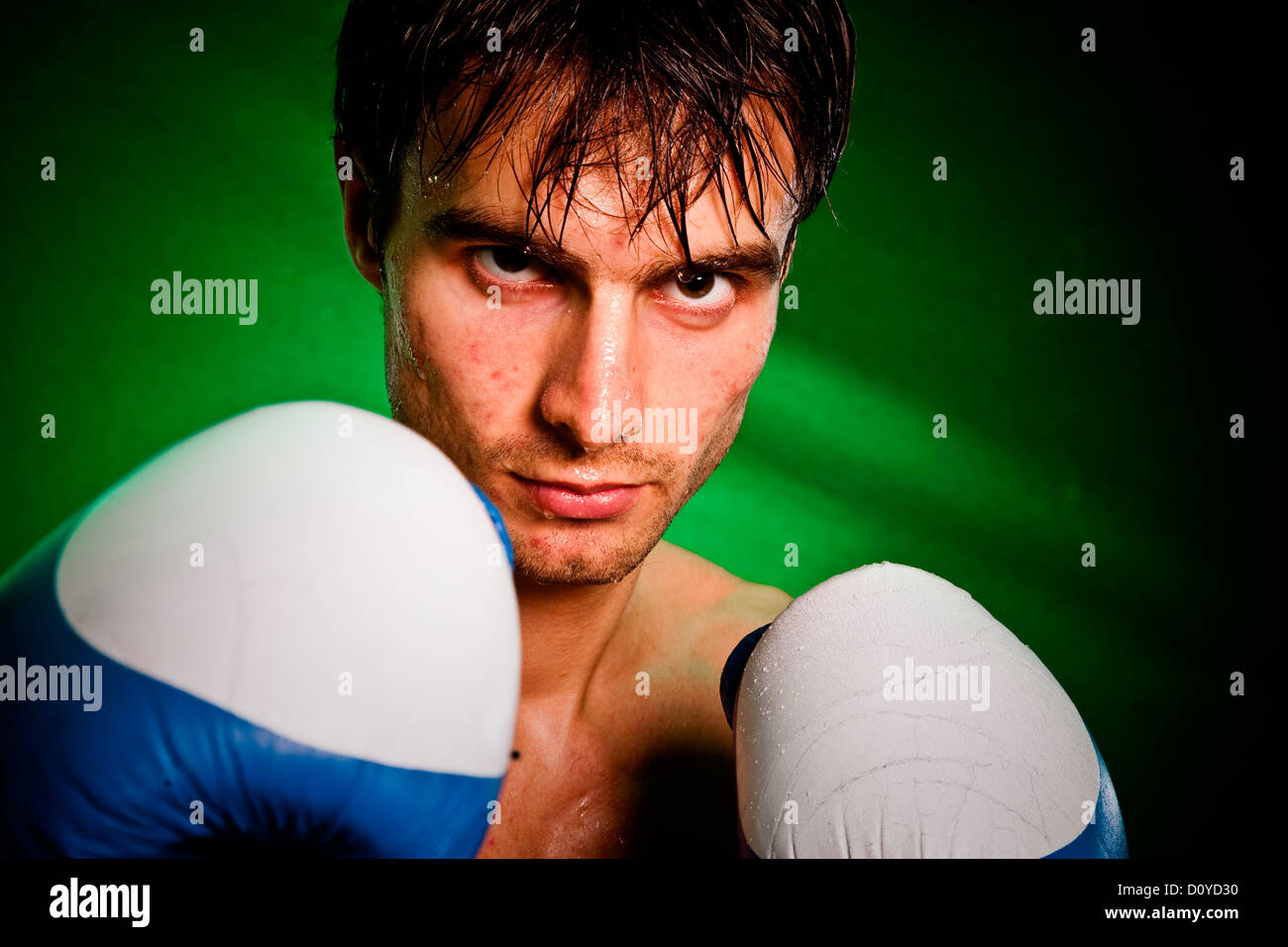 Boxing. Man in boxing gloves Stock Photo Alamy
