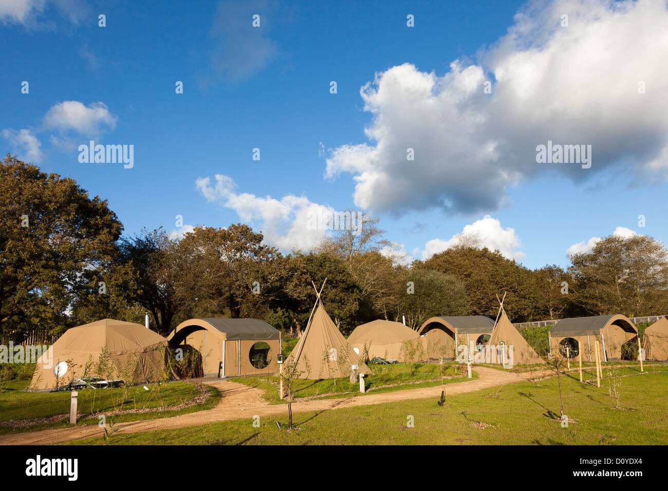 Luxury camping pods at Durrell Wildlife Park, Jersey, Channel Islands, UK Stock Photo