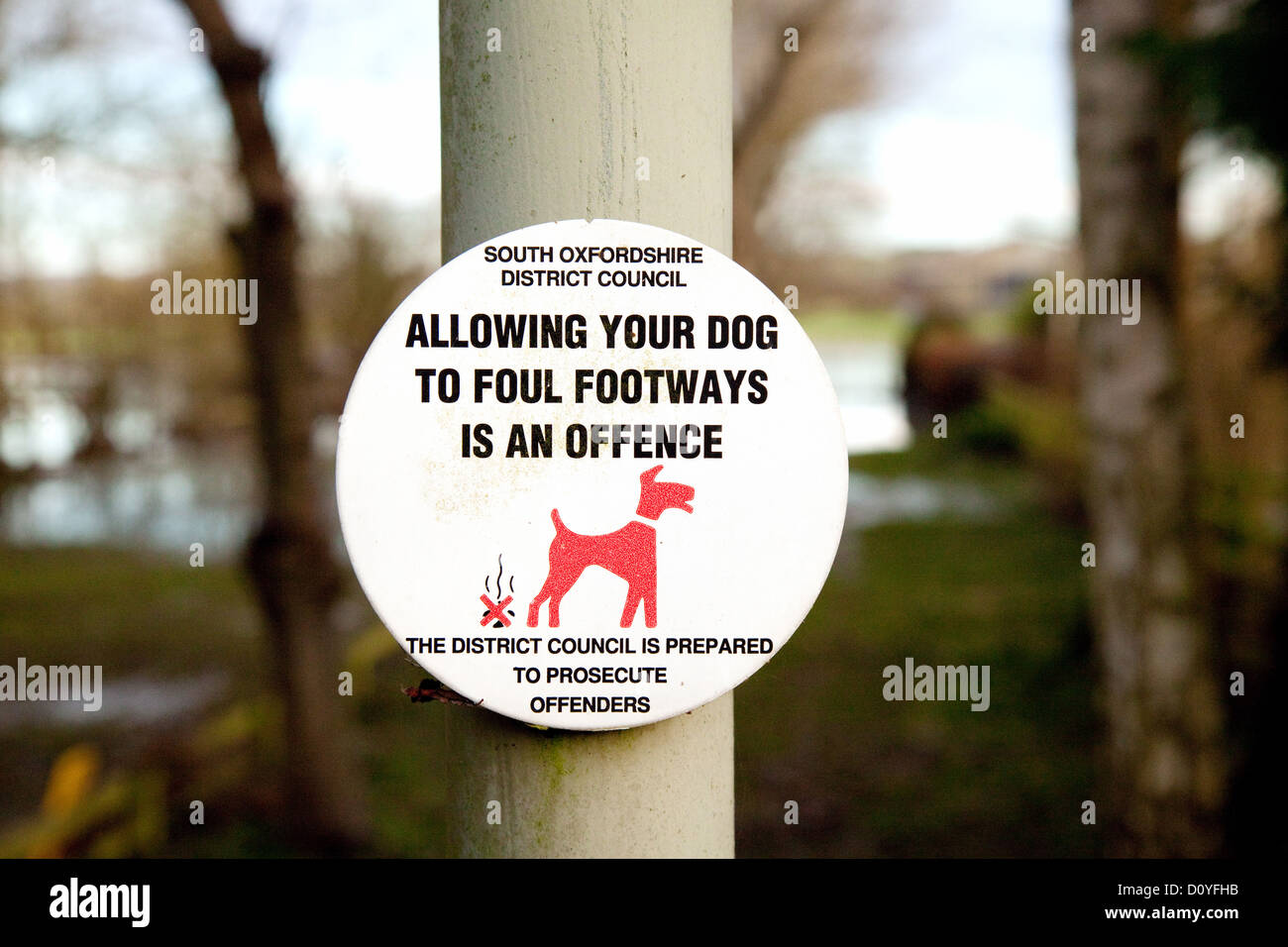 No dog fouling sign, Oxfordshire England UK Stock Photo