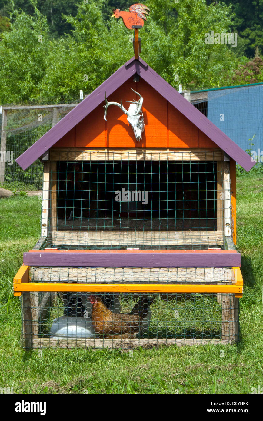 Rabbit hutch store mitre 10