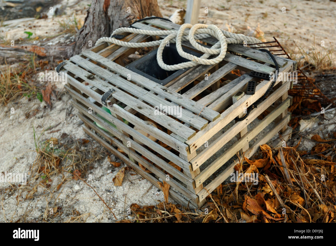 Lobster trap at Crooked Island Bahamas Stock Photo Alamy