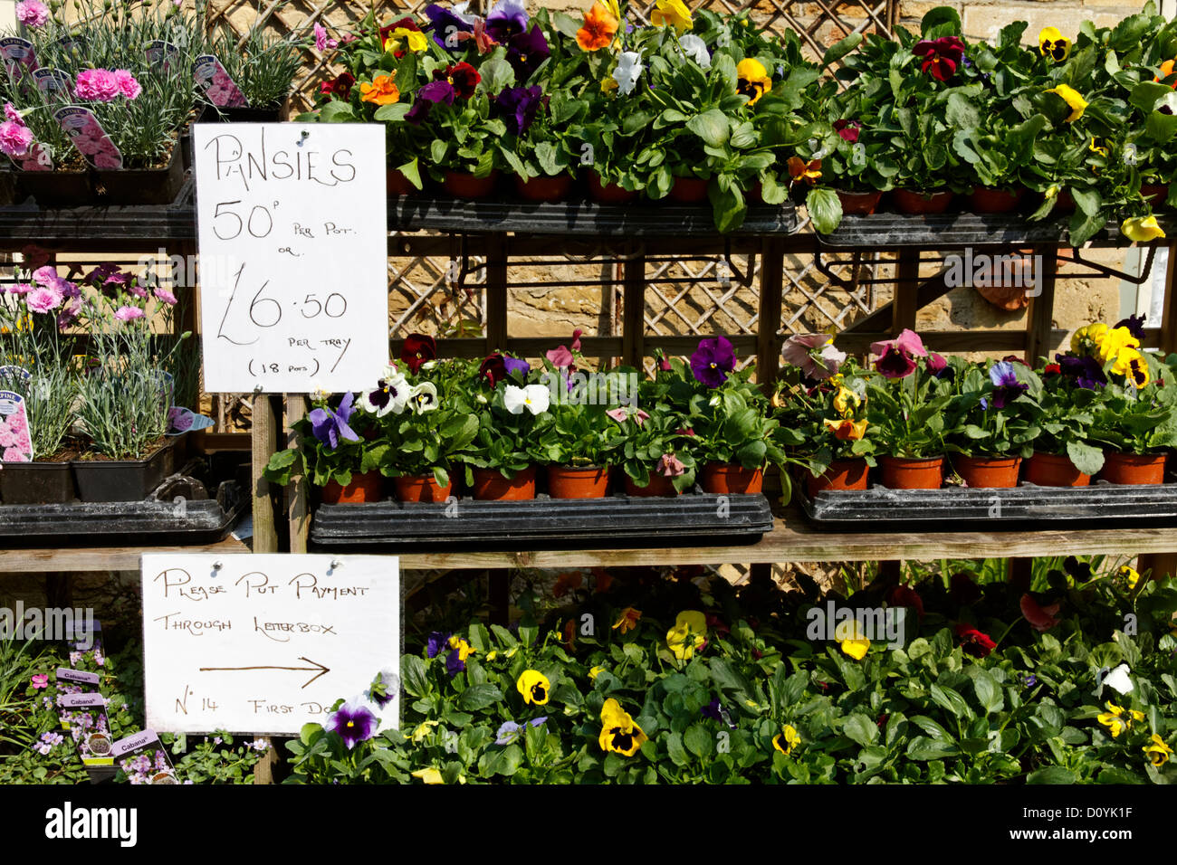 Plants for sale, Lacock village, Wiltshire, England Stock Photo