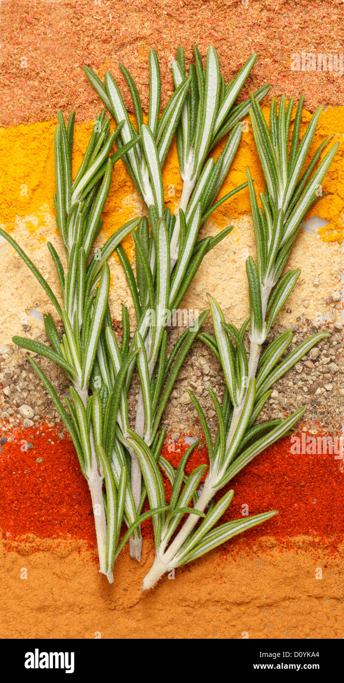 spices and rosemary Stock Photo Alamy
