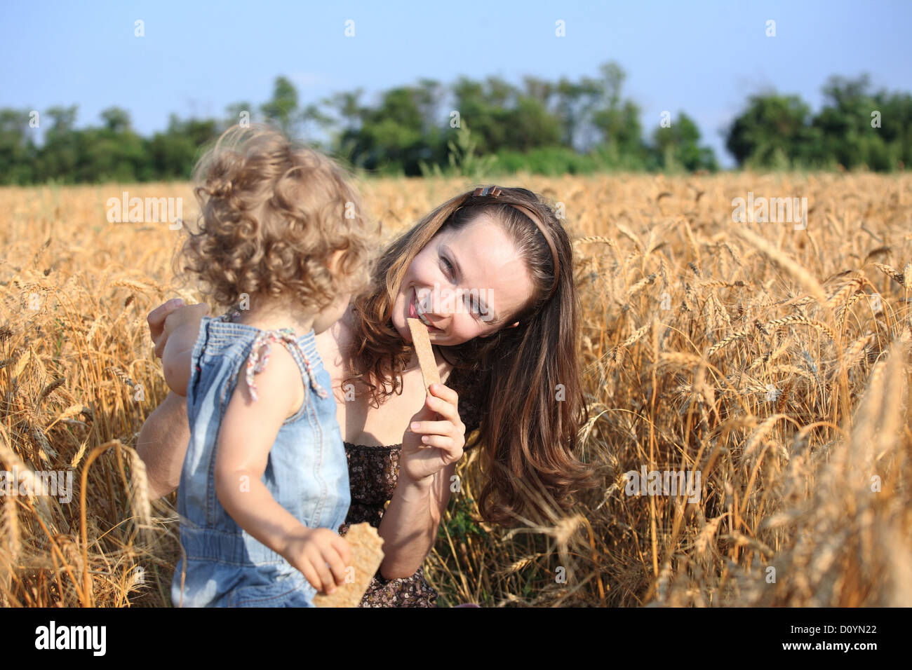 Picnic in field Stock Photo Alamy