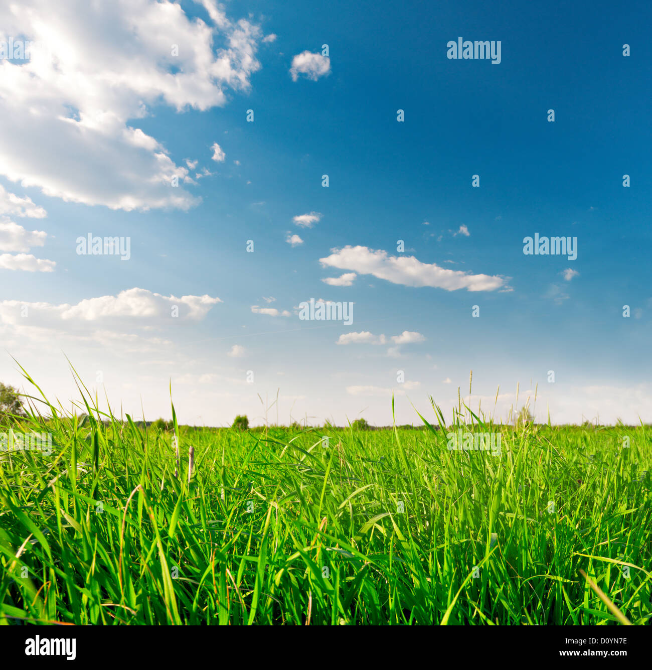 green field and blue cloudy sky Stock Photo - Alamy