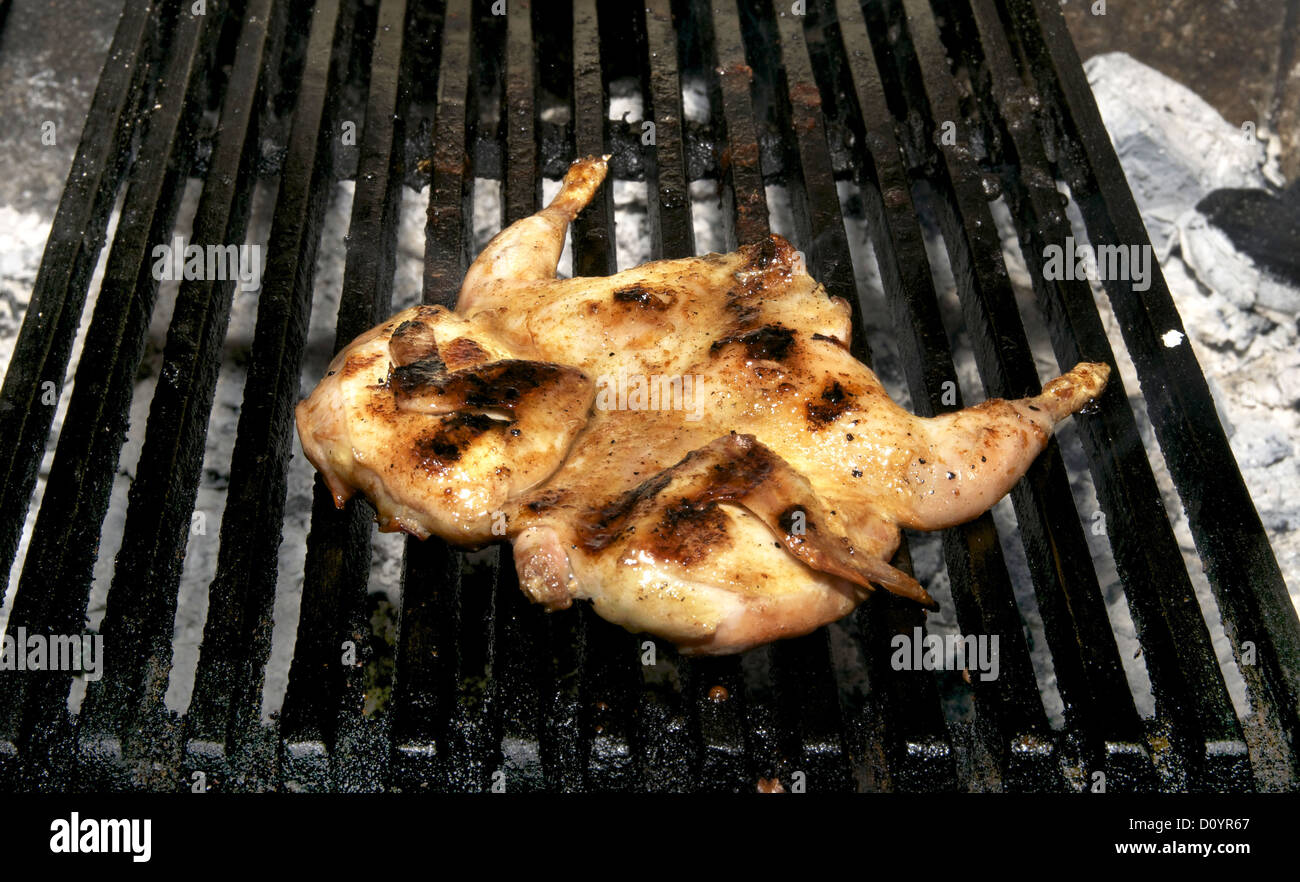 preparation of quail on the grill Stock Photo Alamy
