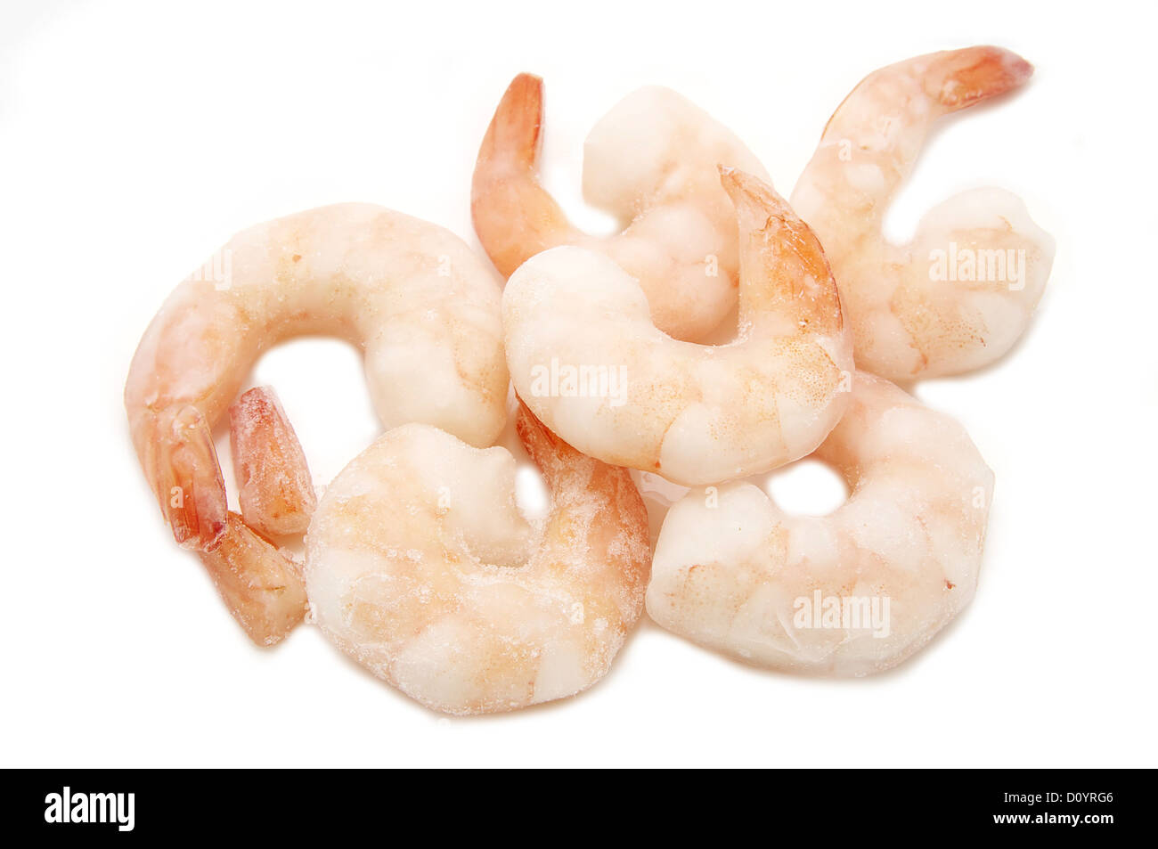 Frozen shrimp hi-res stock photography and images - Alamy